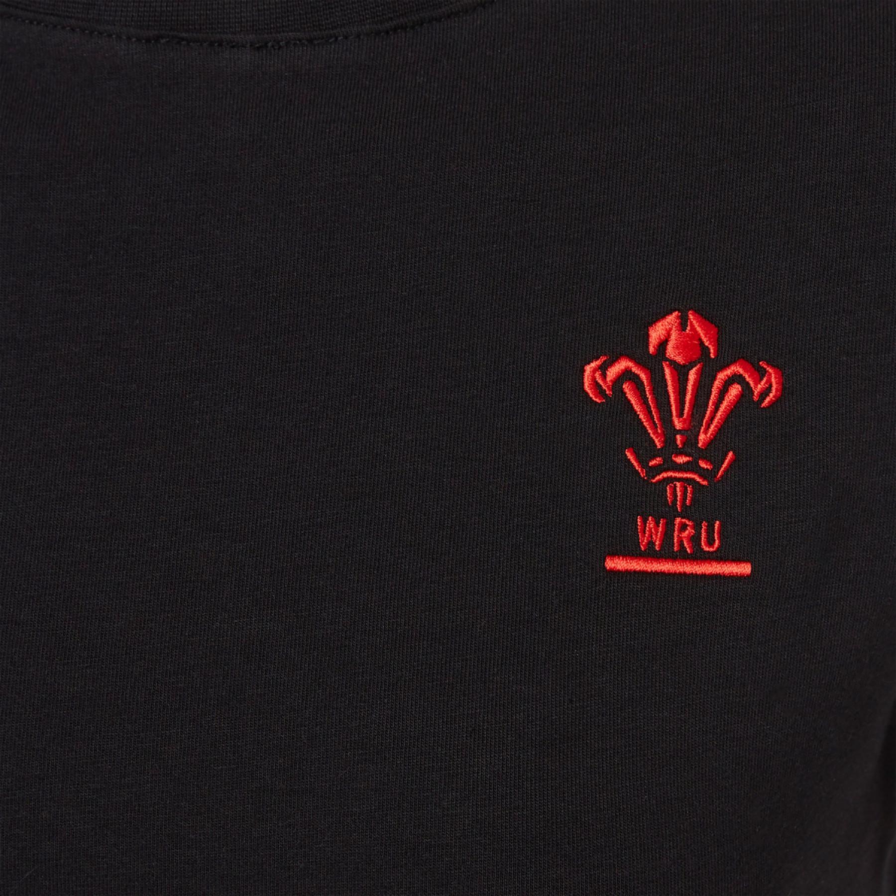 Damestrui Pays de Galles rugby union 2020/21