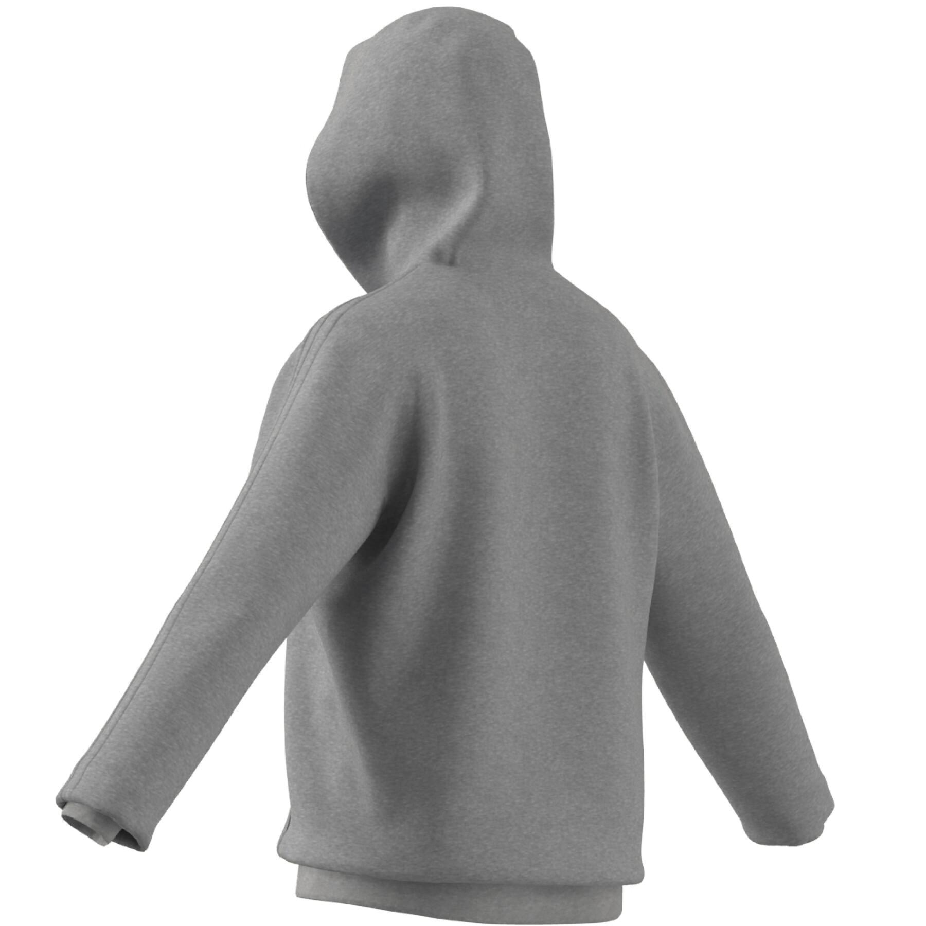 Hooded sweatshirt adidas Basics Emblem Graphic